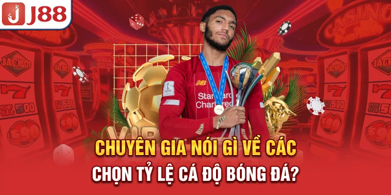 Tỷ Lệ Cá Độ Bóng Đá - Cẩm Nang Đọc và Ứng Dụng Chính Xác 8 Chuyên gia nói gì về các chọn tỷ lệ cá độ bóng đá?